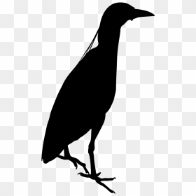 Black Birds In Night, HD Png Download - bird icon png