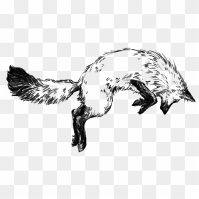 Black And White Fox Drawing, HD Png Download - kitsune png