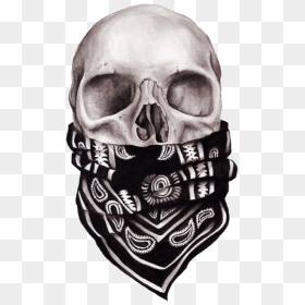 Transparent Bandana Skull - Skull With Bandana Transparent, HD Png Download - skull bandana png