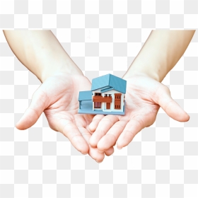 Wrist , Png Download - Wrist, Transparent Png - wrist png