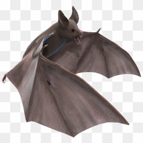 Grab And Download Bat Png In High Resolution - Bat Animal Png Hd, Transparent Png - bat.png
