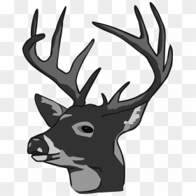 White-tailed Deer Reindeer Elk Clip Art - Deer Head, HD Png Download - doe png