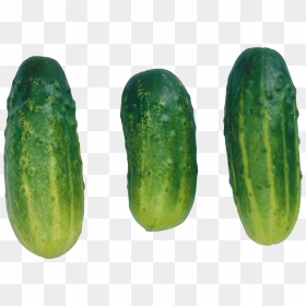 Cucumber Png - Cucumbers Clip Art, Transparent Png - cucumbers png