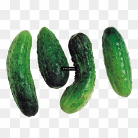 Cucumber , Png Download - Portable Network Graphics, Transparent Png - cucumbers png