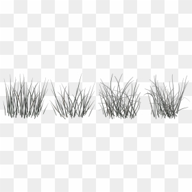 Drawing Grass Texture Black And White, HD Png Download - grass blade texture png