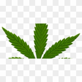 Marijuana Leaf Small, HD Png Download - pot leaf transparent png