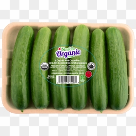 Cucumbers Png, Transparent Png - cucumbers png