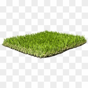 Artificial Grass Liquidators Turf Products Agl Pro50 - Sweet Grass, HD Png Download - grass blade texture png