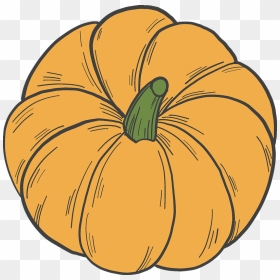 Pumpkin, HD Png Download - thanksgiving .png