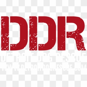 Detroitdogrescue Logo Light - Lato Zet I Dwójki, HD Png Download - detroit png