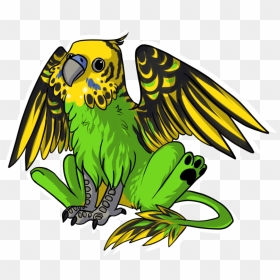 Budgie Drawing Pastel - Budgie Griffin, HD Png Download - budgie png