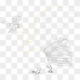 Sketch, HD Png Download - ho oh png