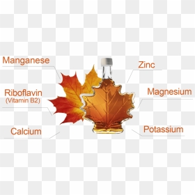 Canadian Maple Syrup Hidden Content - Autumn, HD Png Download - meme png pack