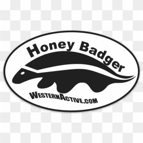 Transparent Honey Badger Png - Marine Mammal, Png Download - honey badger png