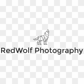 Red Wolf Png, Transparent Png - red wolf png
