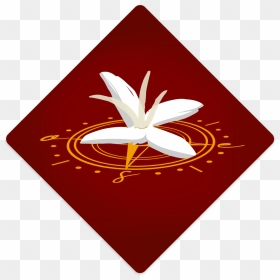Royal Tombs Museum Of Sipán, HD Png Download - rombo png