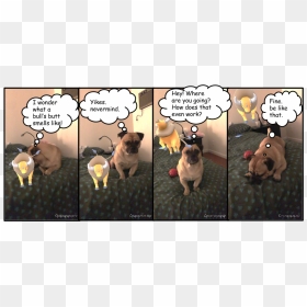 Untitled Drawing - Cartoon, HD Png Download - tauros png
