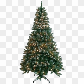 Image - Fresh Noble Christmas Tree, HD Png Download - sexy santa png