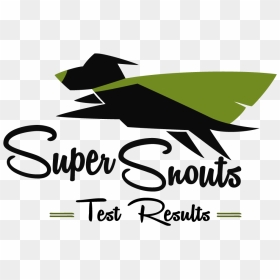 Super Snouts Cbd Oil, HD Png Download - results icon png