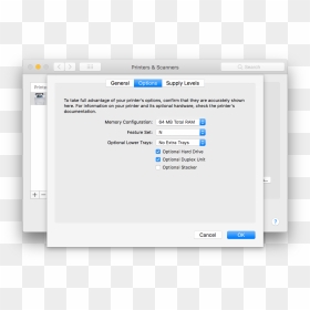 Screenshot, HD Png Download - microsoft word icon png