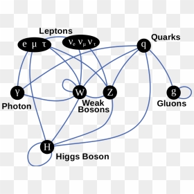 Standard Model Particle Interactions, HD Png Download - particle.png