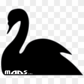 Goose Duck Black Swan Water Bird - Swan Head Silhouette, HD Png Download - duck head png