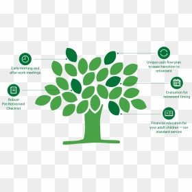 Rpg Is The Partner For Late-career Professionals - Career Tree For Education, HD Png Download - professionals png