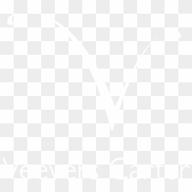 Veevers Carter Logo Reverse Incorrect - Johns Hopkins Logo White, HD Png Download - incorrect png