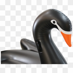 Taiwan Inflatable Pool Toy, Taiwan Inflatable Pool - Swan, HD Png Download - black swan png