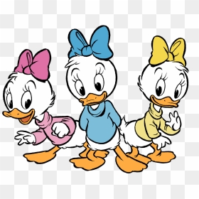 Collection Of Free Ducks Drawing Kid Download On Ui - Donald Duck Niece, HD Png Download - duck head png