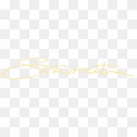 Calligraphy, HD Png Download - shawn mendes logo png