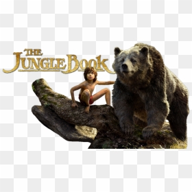 The Jungle Book Png File - Jungle Book 2016 Baloo, Transparent Png - jungle book png