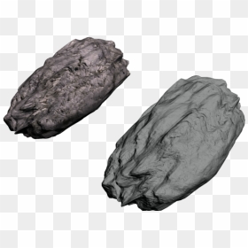 New Comets - Momordica Charantia, HD Png Download - comets png