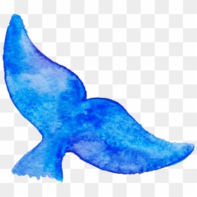 Whale Tail Drawing , Png Download - Kids Drawing Whale Tail, Transparent Png - whale tail png