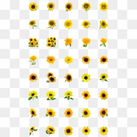 Technical Icons, HD Png Download - sunflower emoji png