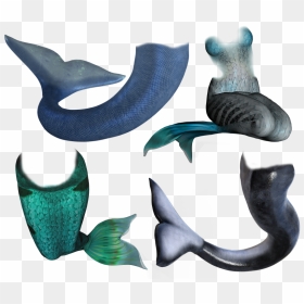 Transparent Fish Tail Png - Queue De Poisson Sirene, Png Download - whale tail png