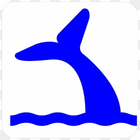 Clip Art, HD Png Download - whale tail png
