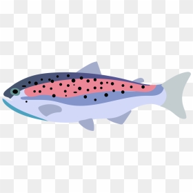 Rainbow Trout Fish Drawing - Rainbow Trout, HD Png Download - fish drawing png