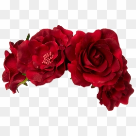 Transparent Flower Crown Red - Transparent Red Flower Crown Png, Png Download - red flower crown png