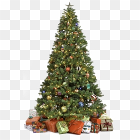 Real Christmas Tree Png, Transparent Png - christmas fireplace png