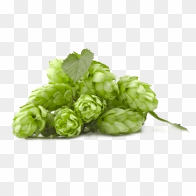 Hop Png, Transparent Png - hop png