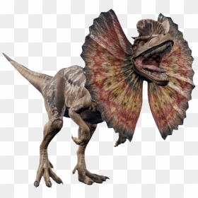   - Dilophosaurus Jurassic World Evolution, HD Png Download - dilophosaurus png