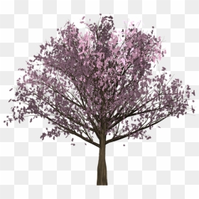 Vector Graphics, HD Png Download - pink tree png