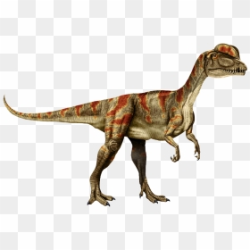 Realistic Dinosaur Clipart, HD Png Download - dilophosaurus png