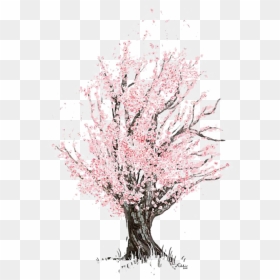 Mq Pink Tree Blossom Watercolor , Png Download - Cherry Blossom Tree Drawing, Transparent Png - pink tree png