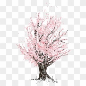 Mq Pink Tree Blossom Watercolor , Png Download - Cherry Blossom Tree ...