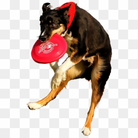 Dog Dancing Png, Transparent Png - clifford the big red dog png