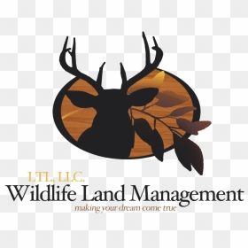 Ltl Wildlife Land Management - Just Writers Publishing Company, HD Png Download - deer tracks png