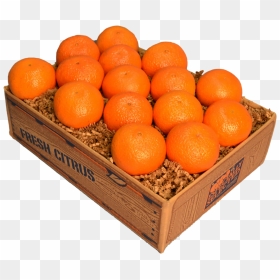 Tangerine , Png Download - Clementine, Transparent Png - tangerine png