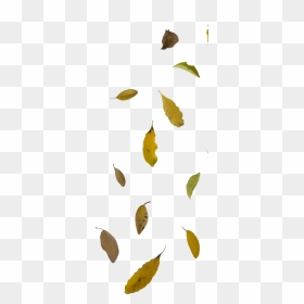 Leaf Falling Free Png, Transparent Png - flex emoji png